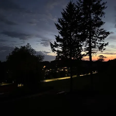 Waldsee Mit Pool Und Sauna Inklusive *